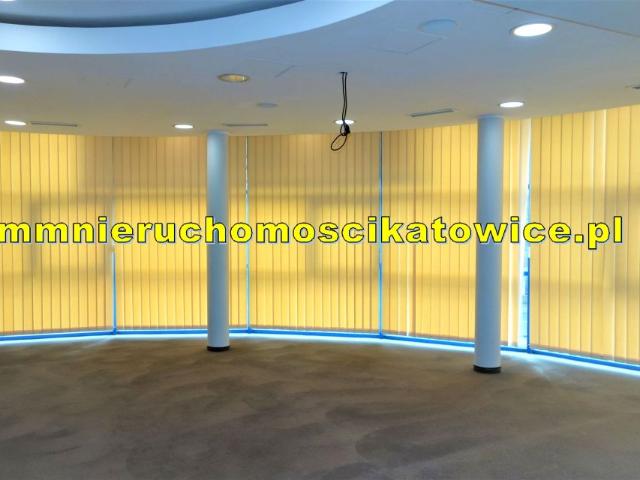 Lokal użytkowy 475 m², Katowice