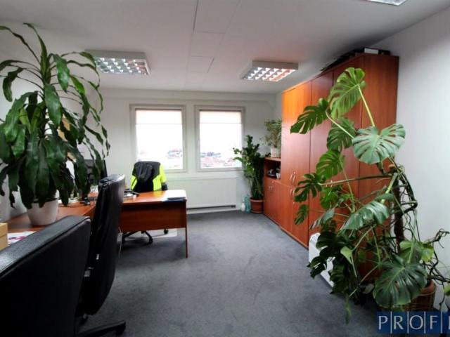 Lokal użytkowy 480 m², Katowice