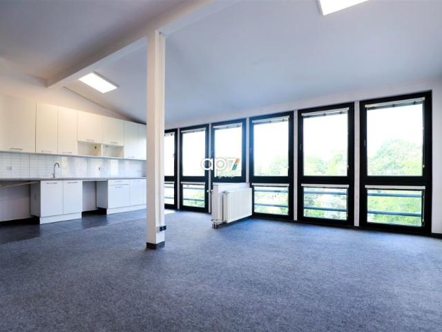 Lokal użytkowy 480 m², Kraków