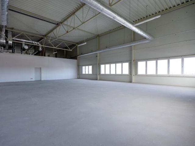 Lokal użytkowy 486,86 m², Młyny