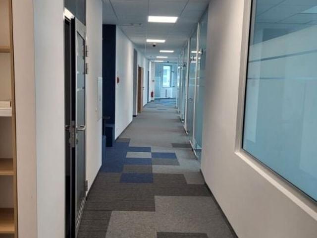Lokal użytkowy 531 m², Poznań