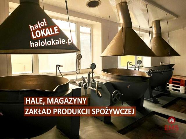 Lokal użytkowy 600 m², Białystok