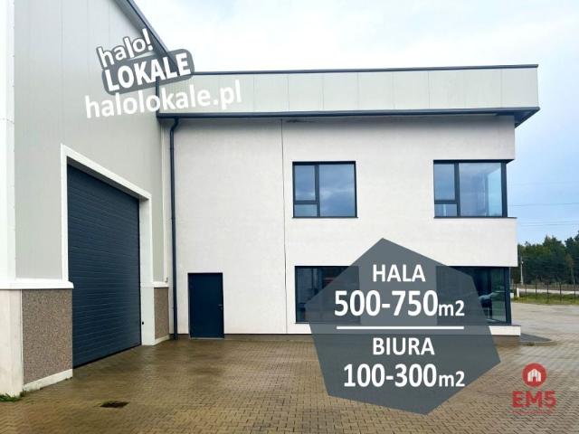 Lokal użytkowy 600 m², Białystok