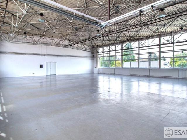 Lokal użytkowy 615 m², Lublin