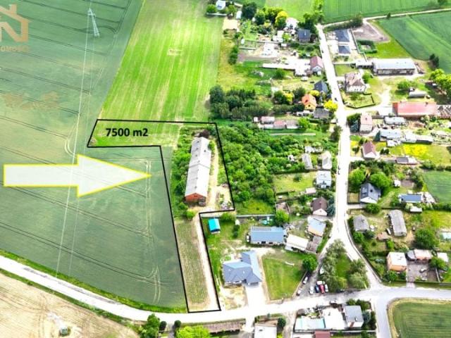 Lokal użytkowy 700 m², Batkowo