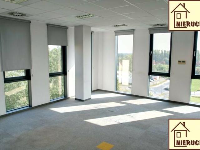 Lokal użytkowy 70 m², Poznań