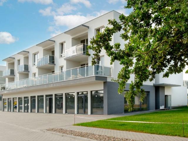 Lokal użytkowy 80 m², Słubice