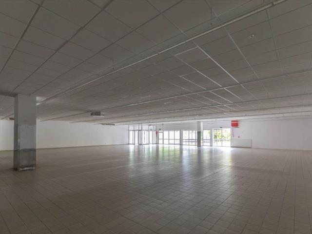 Lokal użytkowy 950 m² z dużym parkingiem i rampą