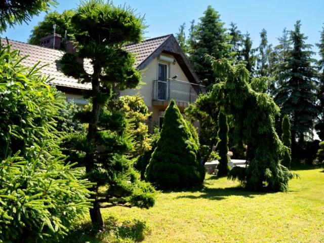 Lokal użytkowy 9 898 m², Rybitwy