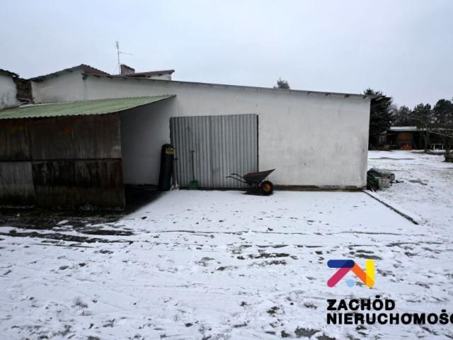 Lokal użytkowy 100 m², Cigacice