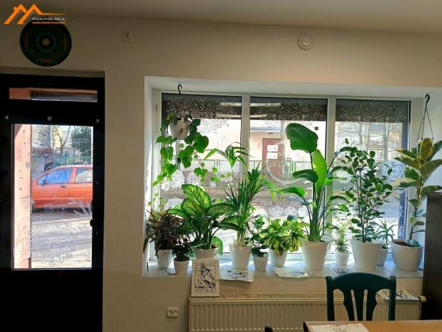 Lokal użytkowy 114 m², Leszno
