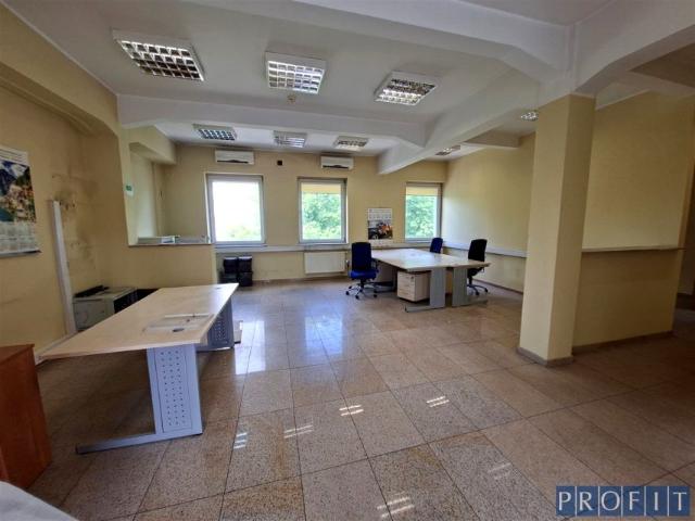 Lokal użytkowy 117 m², Katowice