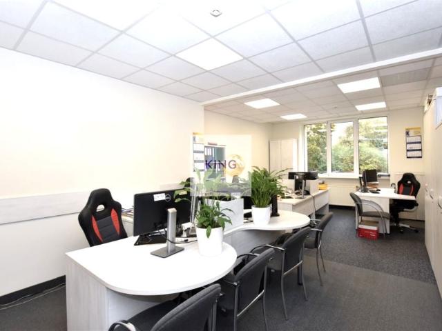 Lokal użytkowy 125 m², Szczecin