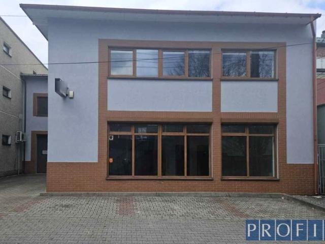 Lokal użytkowy 163 m², Katowice