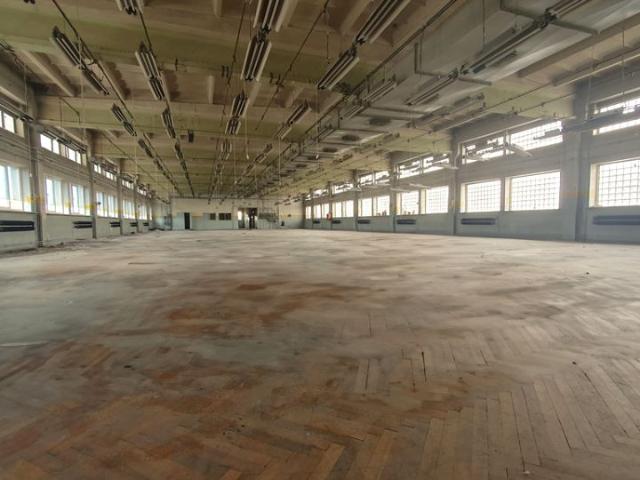 Lokal użytkowy 1 000 m², Łódź