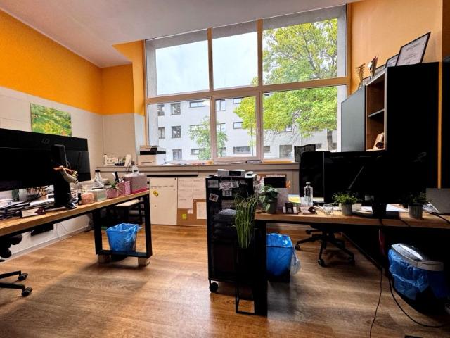 Lokal użytkowy 1 000 m², Zabrze