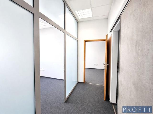 Lokal użytkowy 200 m², Katowice