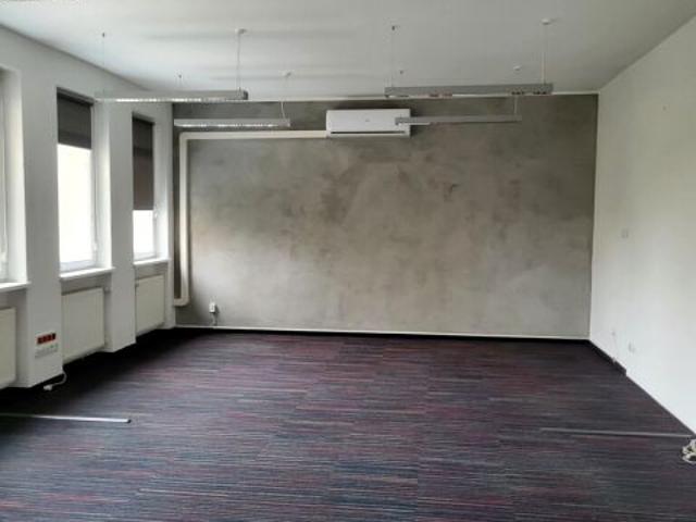 Lokal użytkowy 210 m², Poznań