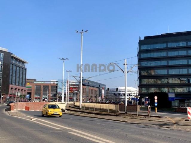 Lokal użytkowy 213 m², Wrocław