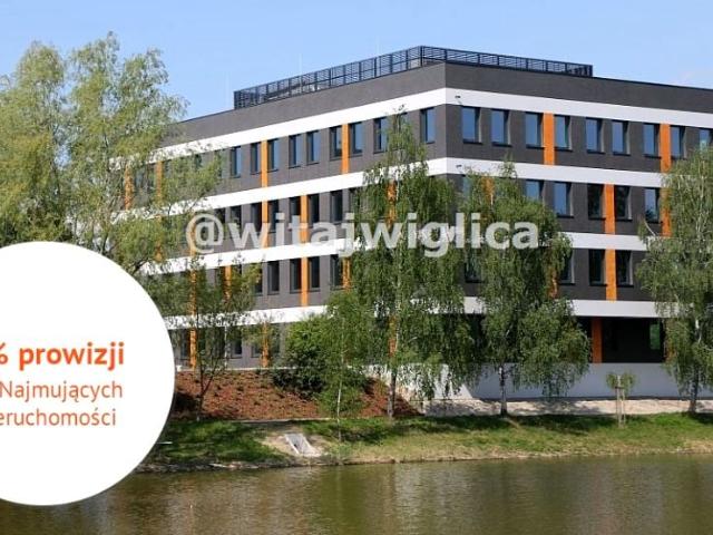 Lokal użytkowy 234 m², Wrocław