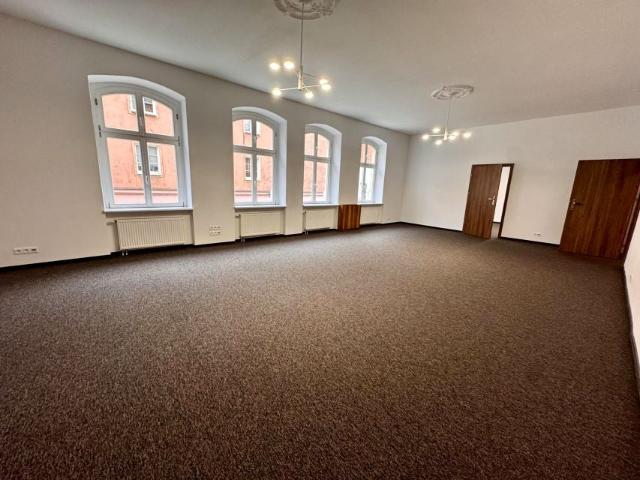Lokal użytkowy 250 m², Poznań