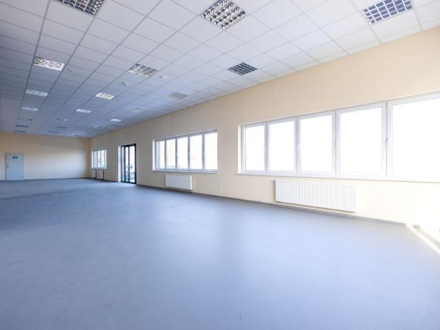 Lokal użytkowy 257,60 m², Młyny