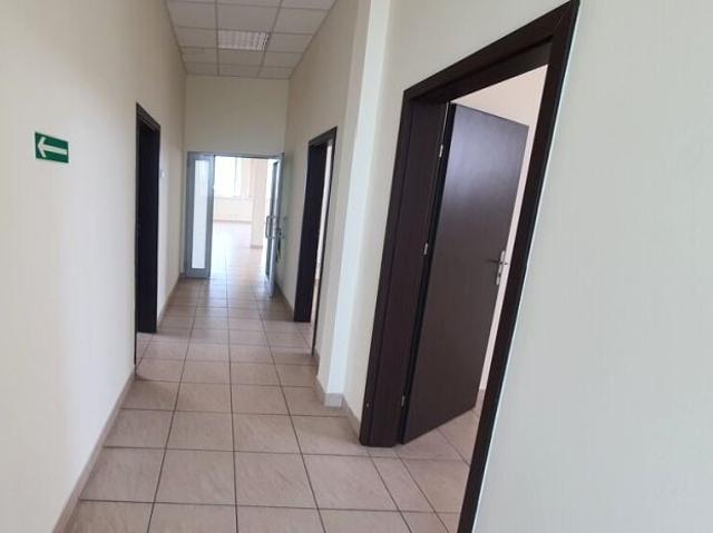 Lokal użytkowy 260 m², Mińsk Mazowiecki