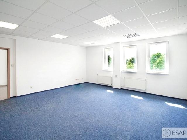 Lokal użytkowy 261,90 m², Lublin