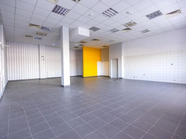 Lokal użytkowy 268,49 m², Młyny