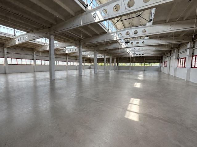Lokal użytkowy 2 000 m², Świecie