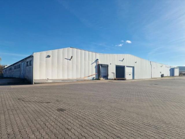 Lokal użytkowy 2 970 m², Brzeziny