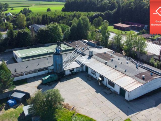 Lokal użytkowy 2 997 m², Jezierze