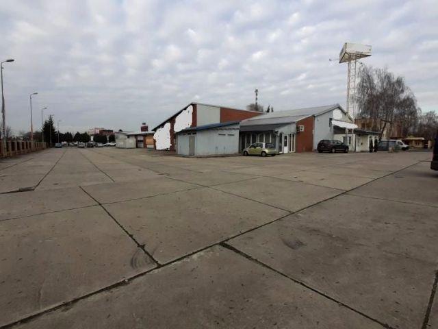 Lokal użytkowy 2 900,16 m², Leszno