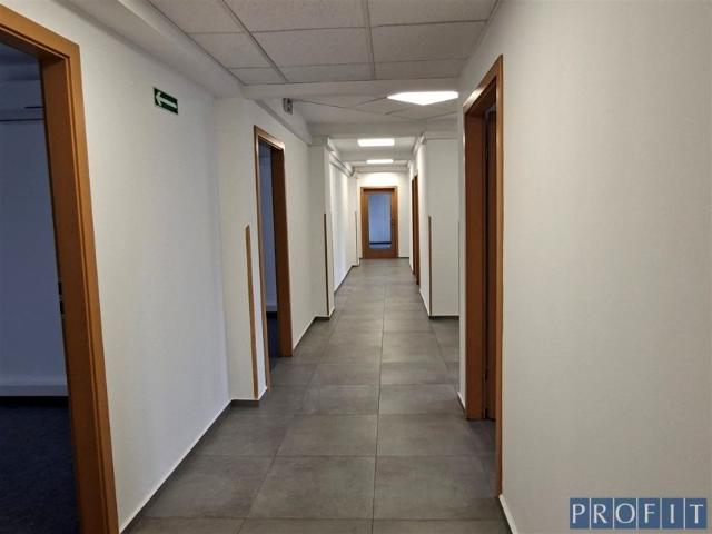 Lokal użytkowy 300 m², Katowice