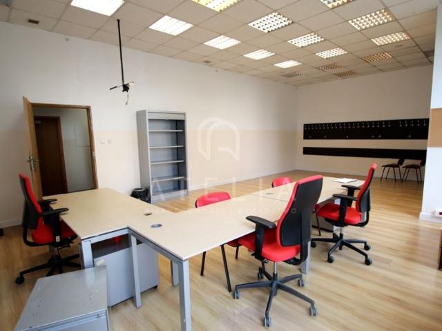 Lokal użytkowy 300 m², Szczecin
