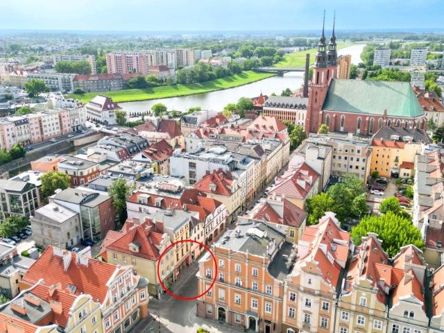 Lokal użytkowy 329 m², Opole