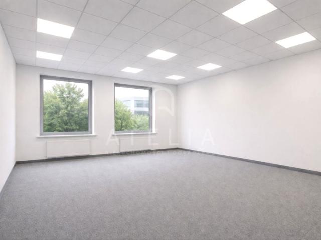 Lokal użytkowy 32 m², Szczecin