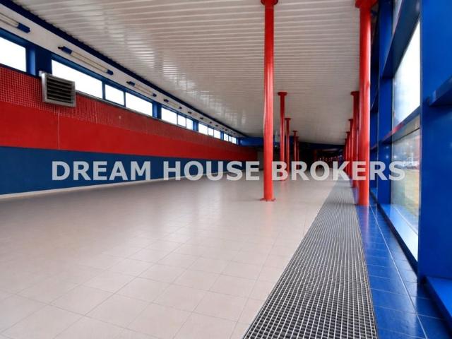 7889 350 m², Krosno