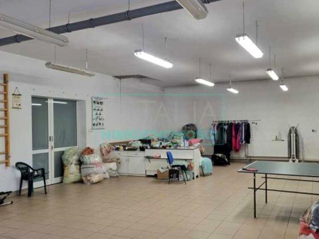 Lokal użytkowy 367 m², Żuków