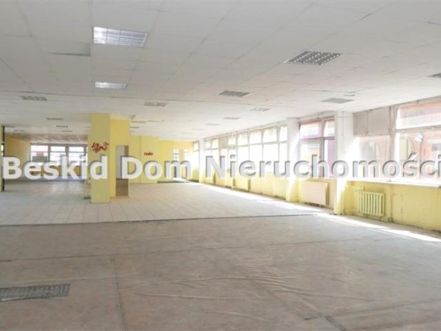 Lokal użytkowy 385,82 m², Bielsko Biała