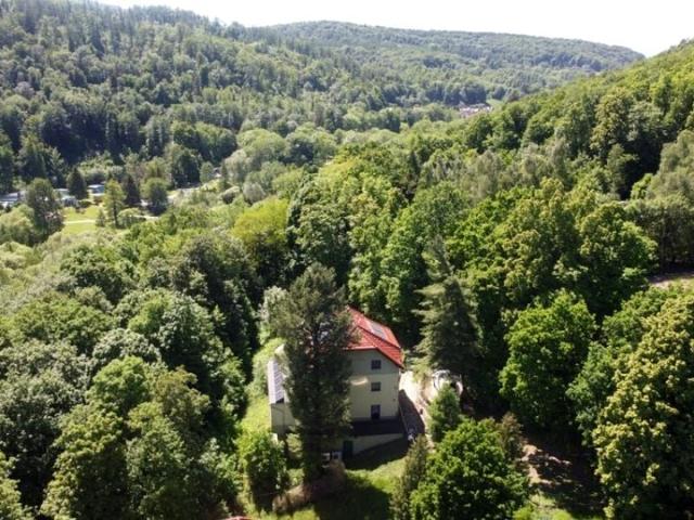 Lokal użytkowy 385 m², Pokrzywna