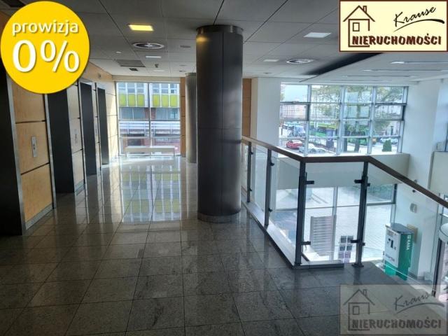 Lokal użytkowy 388 m², Poznań