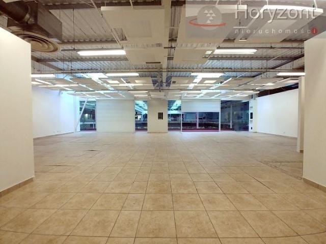 Lokal użytkowy 391 m², Szczecin