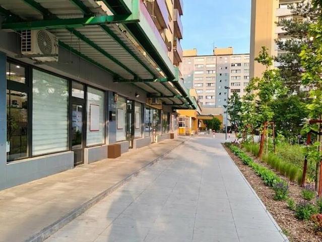 Lokal użytkowy Tychy D