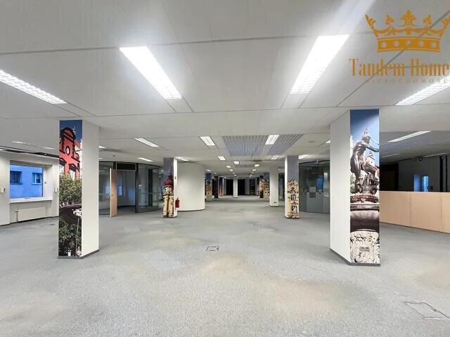 Lokal użytkowy, Warszawa, 1200.00 m², wynajmę lokal użytkowy