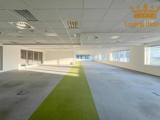 Lokal użytkowy, Warszawa, 1572.00 m², wynajmę lokal użytkowy