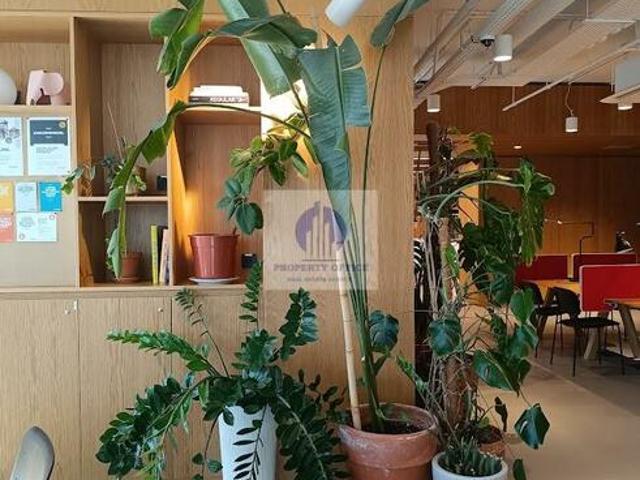 Lokal użytkowy Warszawa Śródmieście, Świętokrzyska