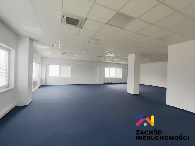 Lokal użytkowy, Zielona Góra, 1500.00 m², wynajmę lokal użytkowy