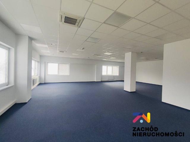 Lokal użytkowy, Zielona Góra, 500.00 m², wynajmę lokal użytkowy