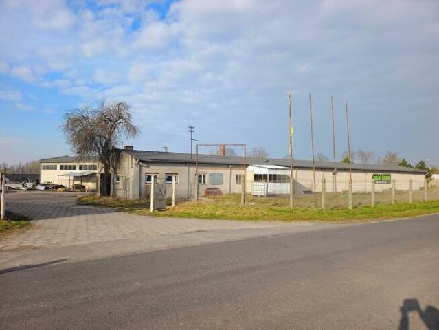 Lokal użytkowy Goszczanów, Sieradzka
